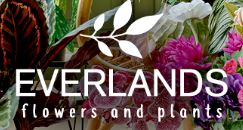 Everlands Everlands