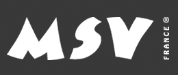 MSV
